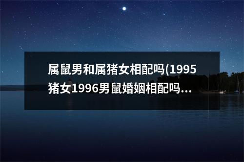 属鼠男和属猪女相配吗(1995猪女1996男鼠婚姻相配吗)
