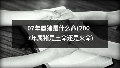 07年属猪是什么命(2007年属猪是土命还是火命)