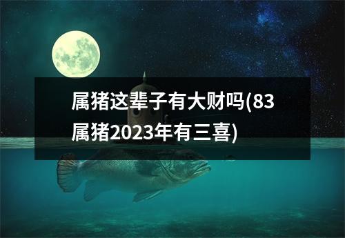 属猪这辈子有大财吗(83属猪2023年有三喜)