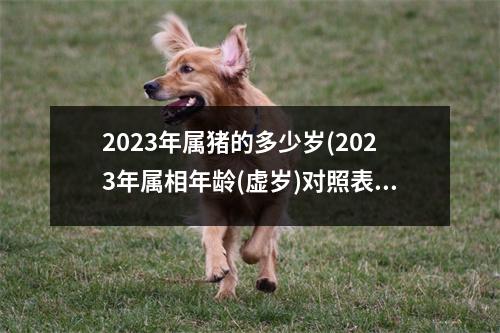 2023年属猪的多少岁(2023年属相年龄(虚岁)对照表)