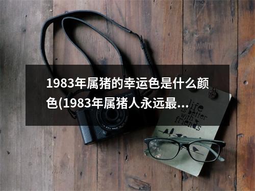 1983年属猪的幸运色是什么颜色(1983年属猪人永远旺的颜色)