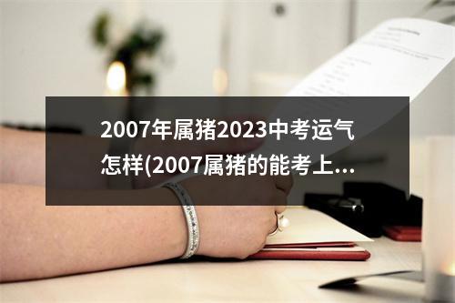 2007年属猪2023中考运气怎样(2007属猪的能考上重点大学吗)