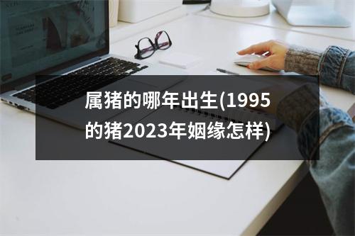 属猪的哪年出生(1995的猪2023年姻缘怎样)