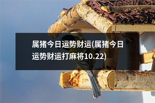 属猪今日运势财运(属猪今日运势财运打麻将10.22)