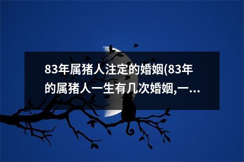 83年属猪人注定的婚姻(83年的属猪人一生有几次婚姻,一生人只一伴侣)