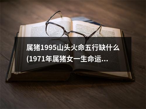 属猪1995山头火命五行缺什么(1971年属猪女一生命运)