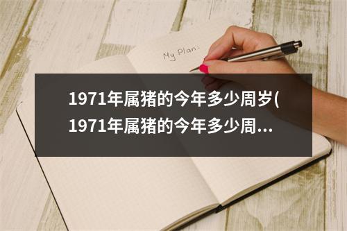 1971年属猪的今年多少周岁(1971年属猪的今年多少周岁了)