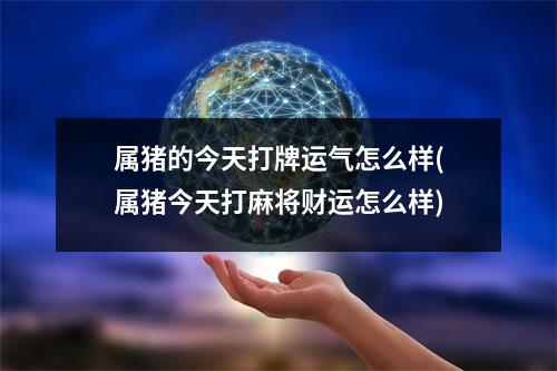 属猪的今天打牌运气怎么样(属猪今天打麻将财运怎么样)