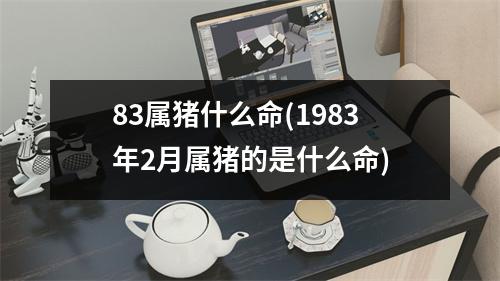 83属猪什么命(1983年2月属猪的是什么命)