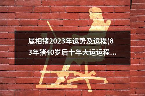 属相猪2023年运势及运程(83年猪40岁后十年大运运程)