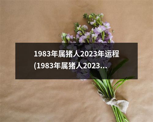 1983年属猪人2023年运程(1983年属猪人2023年运程及运势解读麦玲玲)