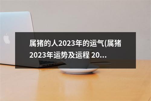 属猪的人2023年的运气(属猪2023年运势及运程 2022年属猪人的全年每月运势)