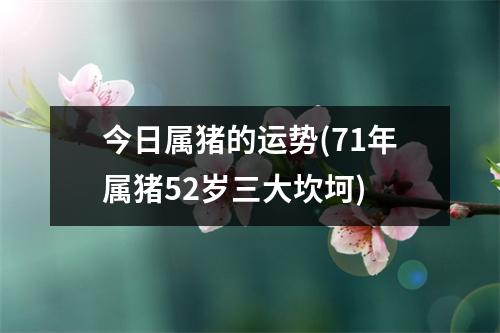 今日属猪的运势(71年属猪52岁三大坎坷)