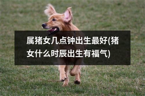 属猪女几点钟出生好(猪女什么时辰出生有福气)