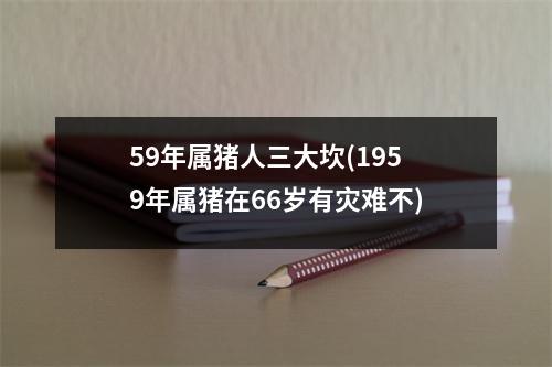 59年属猪人三大坎(1959年属猪在66岁有灾难不)