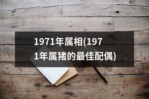 1971年属相(1971年属猪的佳配偶)