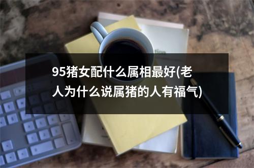 95猪女配什么属相好(老人为什么说属猪的人有福气)