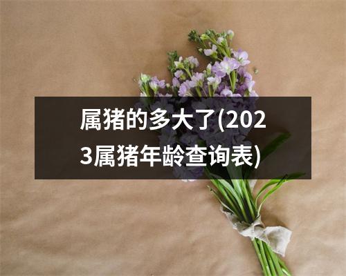 属猪的多大了(2023属猪年龄查询表)