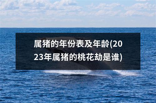 属猪的年份表及年龄(2023年属猪的桃花劫是谁)