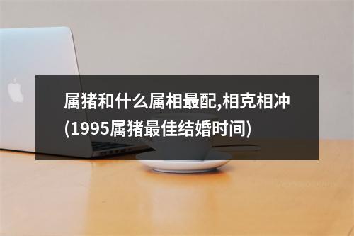 属猪和什么属相配,相克相冲(1995属猪佳结婚时间)