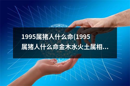 1995属猪人什么命(1995属猪人什么命金木水火土属相)