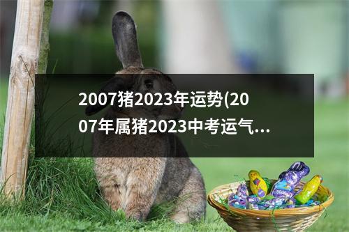 2007猪2023年运势(2007年属猪2023中考运气怎样)