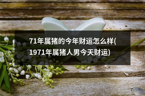 71年属猪的今年财运怎么样(1971年属猪人男今天财运)