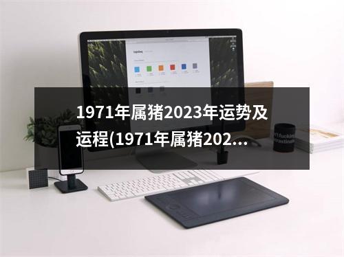 1971年属猪2023年运势及运程(1971年属猪2024年运势及运程)