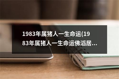 1983年属猪人一生命运(1983年属猪人一生命运佛滔居士)