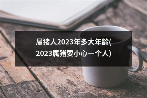 属猪人2023年多大年龄(2023属猪要小心一个人)