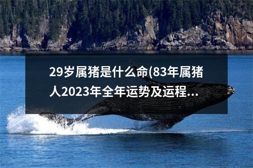 29岁属猪是什么命(83年属猪人2023年全年运势及运程)