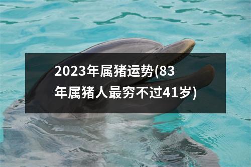 2023年属猪运势(83年属猪人穷不过41岁)