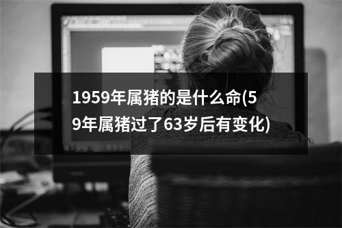 1959年属猪的是什么命(59年属猪过了63岁后有变化)