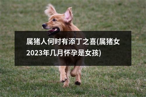 属猪人何时有添丁之喜(属猪女2023年几月怀孕是女孩)