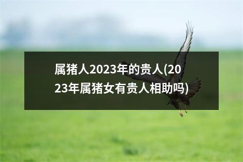 属猪人2023年的贵人(2023年属猪女有贵人相助吗)