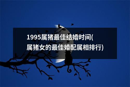 1995属猪佳结婚时间(属猪女的佳婚配属相排行)