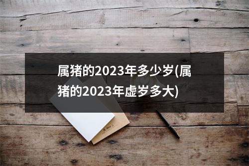 属猪的2023年多少岁(属猪的2023年虚岁多大)