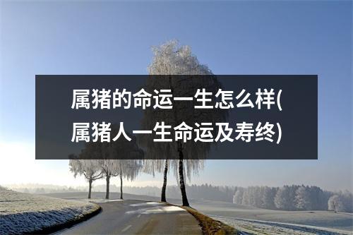 属猪的命运一生怎么样(属猪人一生命运及寿终)