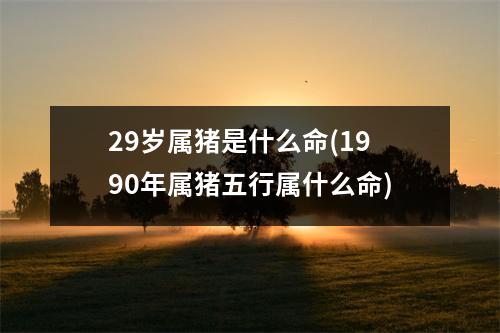 29岁属猪是什么命(1990年属猪五行属什么命)