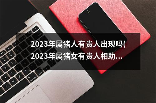 2023年属猪人有贵人出现吗(2023年属猪女有贵人相助吗)