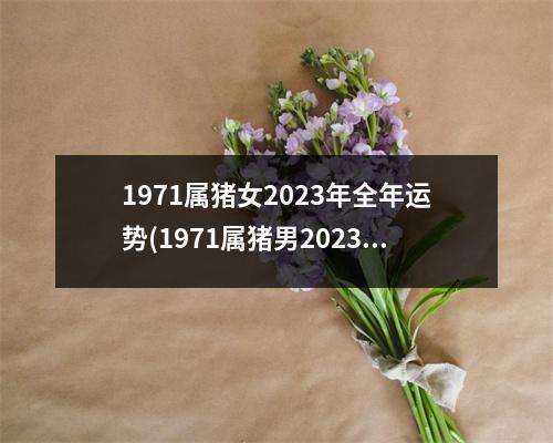 1971属猪女2023年全年运势(1971属猪男2023年全年运势)