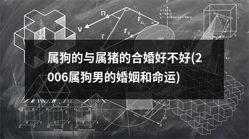 属狗的与属猪的合婚好不好(2006属狗男的婚姻和命运)