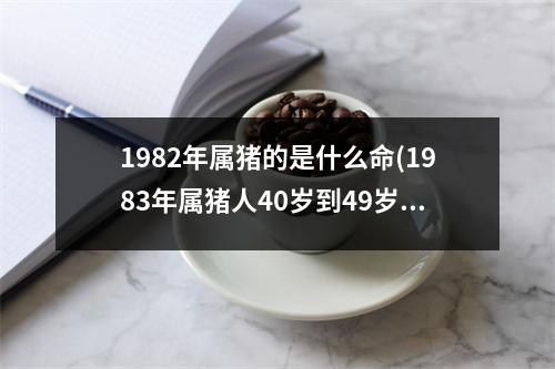 1982年属猪的是什么命(1983年属猪人40岁到49岁运程)