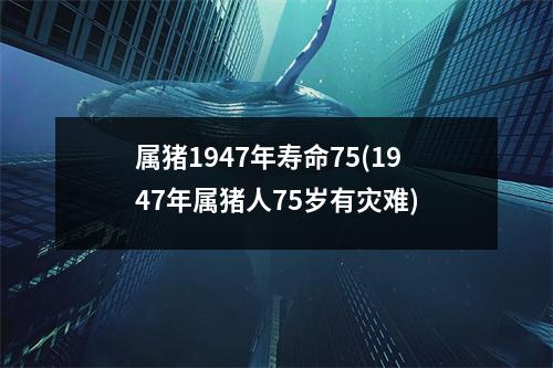 属猪1947年寿命75(1947年属猪人75岁有灾难)