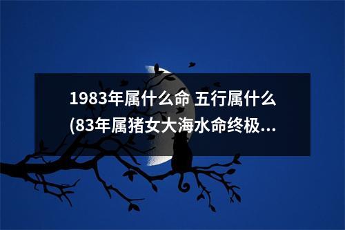 1983年属什么命 五行属什么(83年属猪女大海水命终极命运)