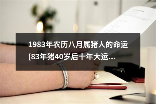 1983年农历八月属猪人的命运(83年猪40岁后十年大运运程)