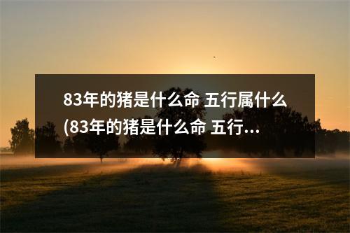 83年的猪是什么命 五行属什么(83年的猪是什么命 五行属什么适合什么颜色)