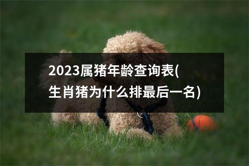 2023属猪年龄查询表(生肖猪为什么排后一名)