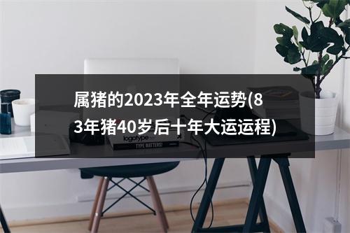 属猪的2023年全年运势(83年猪40岁后十年大运运程)