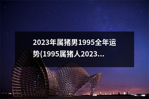 2023年属猪男1995全年运势(1995属猪人2023年全年运势及运程)